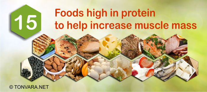 15 foods high in protein for bodybuilders - tonvara.net